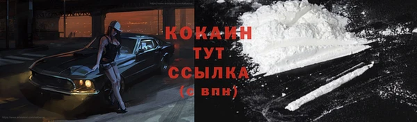 тгк Абинск