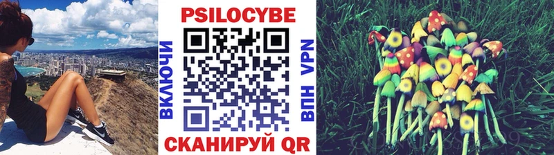 ссылка на мегу зеркало  Дубовка  Псилоцибиновые грибы MAGIC MUSHROOMS 
